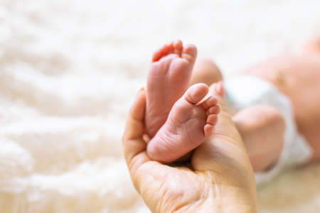 newborn baby mom holds legs. selective focus. people.の写真素材