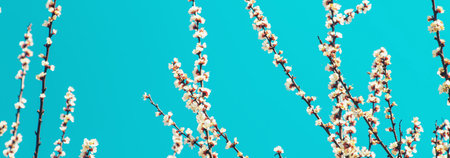 Blooming tree in the garden. Selective focus nature.