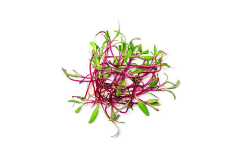 Microgreen beets on a white background isolate. Selective focus. Food.の写真素材
