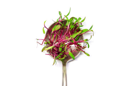 Microgreen beets on a white background isolate. Selective focus. Food.の写真素材