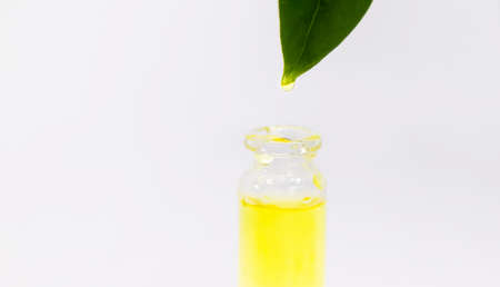 tea tree oil in a small bottle. Selective focus. nature.の写真素材