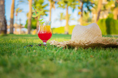 drink a cocktail on vacation. Selective focus. nature