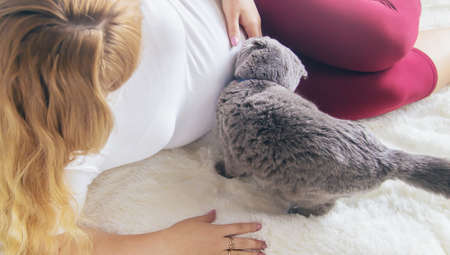 A pregnant woman with a cat lies in bed. Selective focus. animal.の写真素材