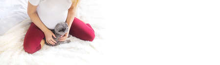 A pregnant woman with a cat lies in bed. Selective focus. animal.の写真素材