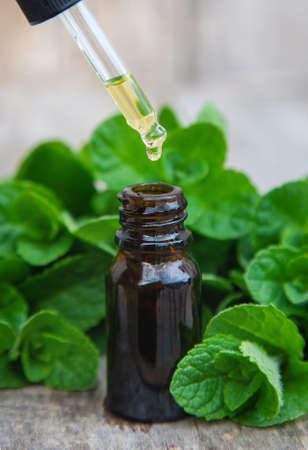 Peppermint essential oil in a small bottle. Selective focus. Nature.の写真素材