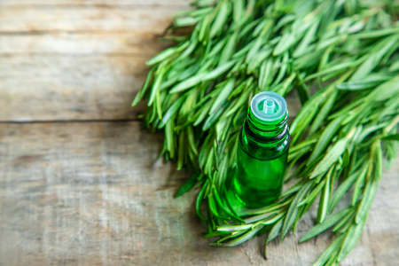 Rosemary essential oil in a small bottle. Selective focus. Nature.の写真素材