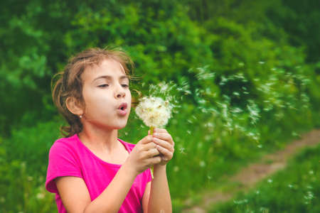 Child blowing dandelions in nature. Selective focus. Nature.の写真素材