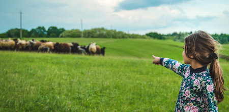 Child with sheep and goats in the meadow. Selective focus. Nature.の写真素材