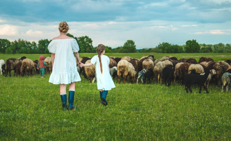 Child with sheep and goats in the meadow. Selective focus. Nature.の写真素材