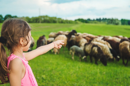 Child with sheep and goats in the meadow. Selective focus. Nature.の写真素材