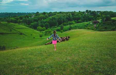 Child with sheep and goats in the meadow. Selective focus. Nature.の写真素材