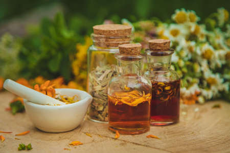 Tincture of medicinal herbs in bottles. Selective focus. Nature.