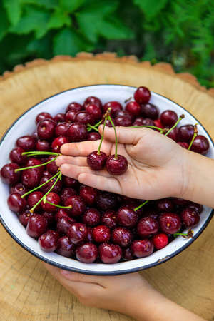 The child eats cherries in the garden. Selective focus. Food.の写真素材