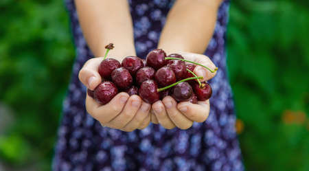 The child eats cherries in the garden. Selective focus. Food.
