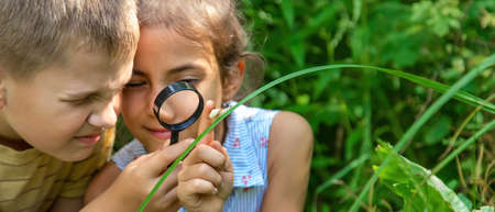 The child looks at the snail through a magnifying glass. Selective focus. Nature.の写真素材