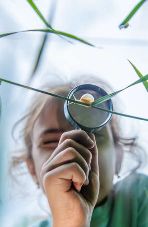The child looks at the snail through a magnifying glass. Selective focus. Nature.の写真素材