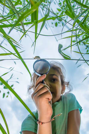 The child looks at the snail through a magnifying glass. Selective focus. Nature.の写真素材