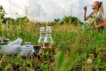 The woman collects medicinal herbs. Selective focus. Nature.の写真素材