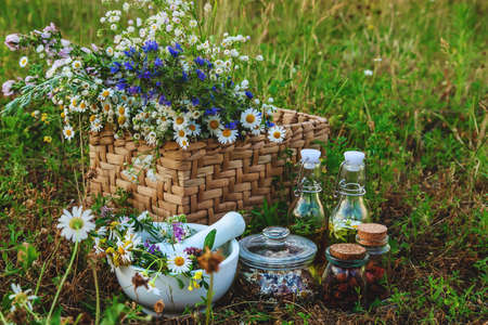 Medicinal herbs and herbal tinctures. Selective focus. nature.の写真素材