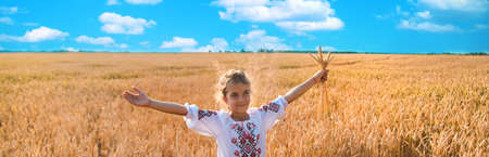 Child in a wheat field. In vyshyvanka, the concept of the Independence Day of Ukraine. Selective focus. Kid.の写真素材
