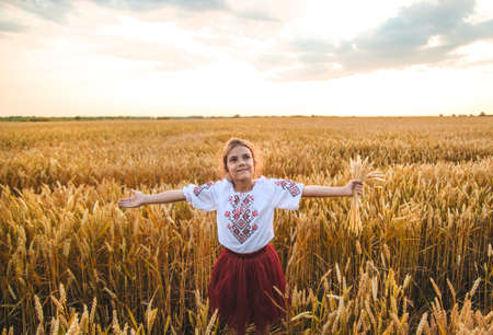Child in a wheat field. In vyshyvanka, the concept of the Independence Day of Ukraine. Selective focus. Kid.の写真素材
