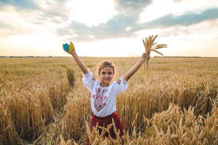 Child in a wheat field. In vyshyvanka, the concept of the Independence Day of Ukraine. Selective focus. Kid.の写真素材