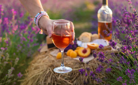 A woman holds wine in glasses. Picnic in the lavender field. Selective focus. nature.の写真素材
