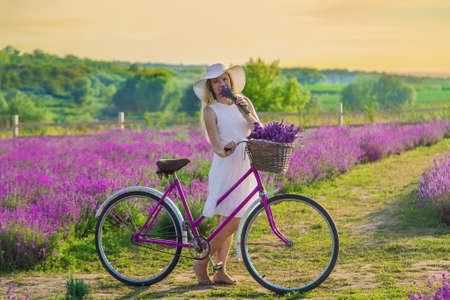 Woman in lavender field on a bike. Selective focus. Nature.の写真素材