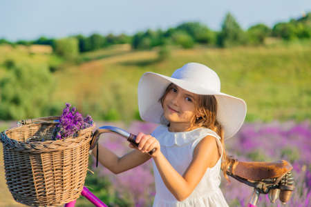 A child in a lavender field. Selective focus. Nature.の写真素材