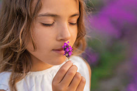 A child in a lavender field. Selective focus. Nature.の写真素材