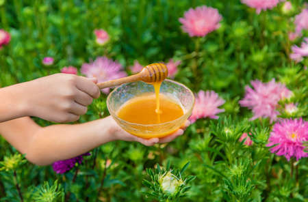 Child Holds honey in her hands. Selective focus. Nature.の写真素材