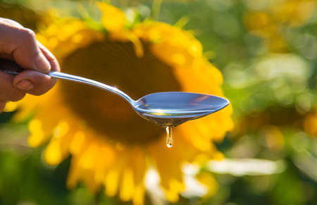 Sunflower oil in a spoon on the field. Selective focus. Nature.の写真素材
