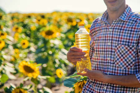 Sunflower oil in the hands of a male farmer on the field. Selective focus. Nature.
