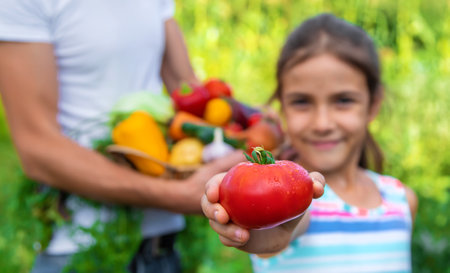 A man farmer holds vegetables in his hands and a child. Selective focus. Food.の写真素材