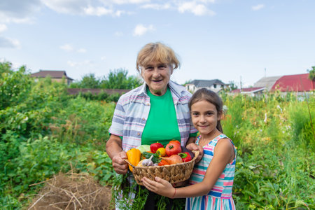 Grandmother in the garden with a child and a harvest of vegetables. Selective focus. Food.の写真素材