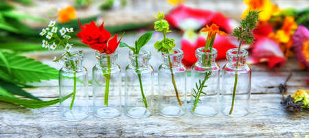 Bottled herbal and flower tinctures. Selective focus. Nature.の写真素材