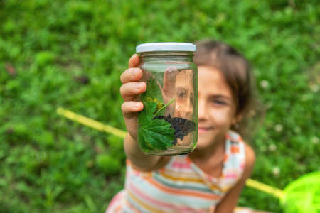 The child catches butterflies in nature. Selective focus. Nature.,の写真素材
