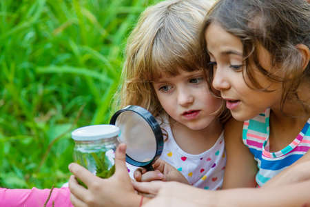 Children look at a magnifying glass on the nature. Selective focus. Nature.の写真素材