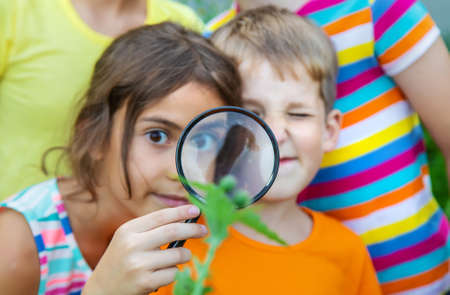 Children look at a magnifying glass on the nature. Selective focus. Nature.の写真素材