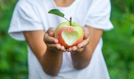 The child eats an apple in the garden. Selective focus. Kid.