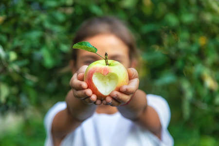 The child eats an apple in the garden. Selective focus. Kid.の写真素材