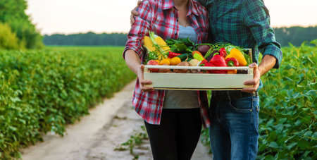 A woman and a man farmer are holding vegetables in their hands. Selective focus. Food.の写真素材