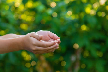 The child is holding hands asks. Selective focus. Nature.の写真素材