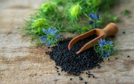 Black cumin seeds and flowers. Selective focus. Nature.の写真素材
