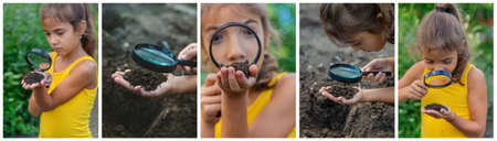 Collage child explores the soil with a magnifying glass. Selective focus. Nature.の写真素材