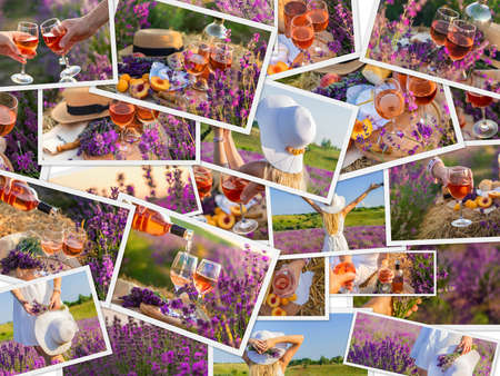 Picnic in lavender with wine collage. Selective focus. Nature.の写真素材