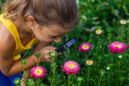The child examines the plants with a magnifying glass. Selective focus. Kid.の写真素材
