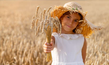 A child in a wheat field. Selective focus. Nature.の写真素材