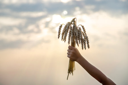 A child in a wheat field. Selective focus. Nature.の写真素材