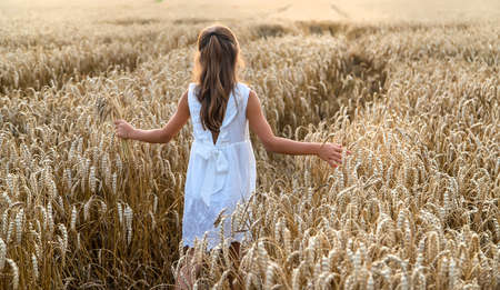 A child in a wheat field. Selective focus. Nature.の写真素材